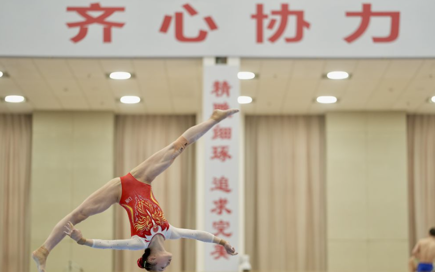 bob体育网站的体育赛事直播全解析